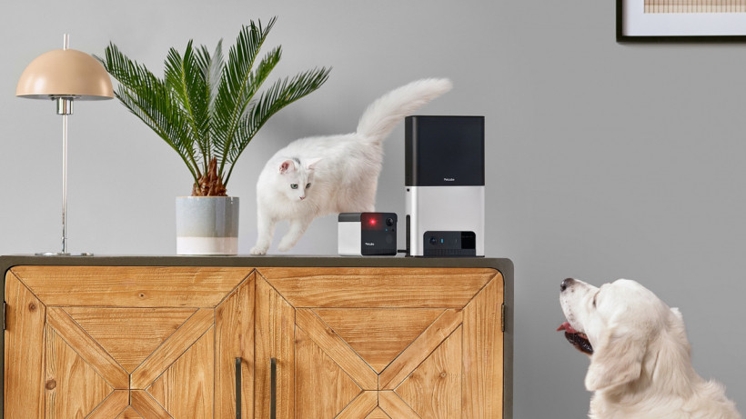 Petcube adds Alexa to its latest treat-dispensing, laser-firing pet cameras